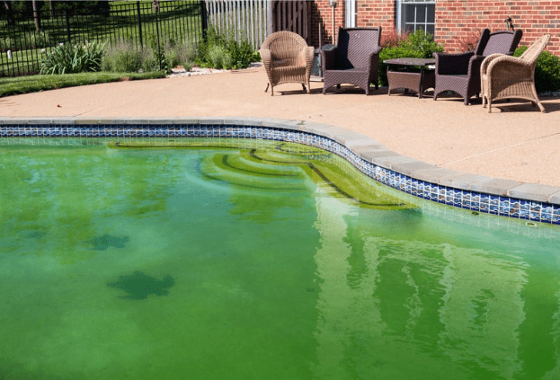 Agua verde piscina